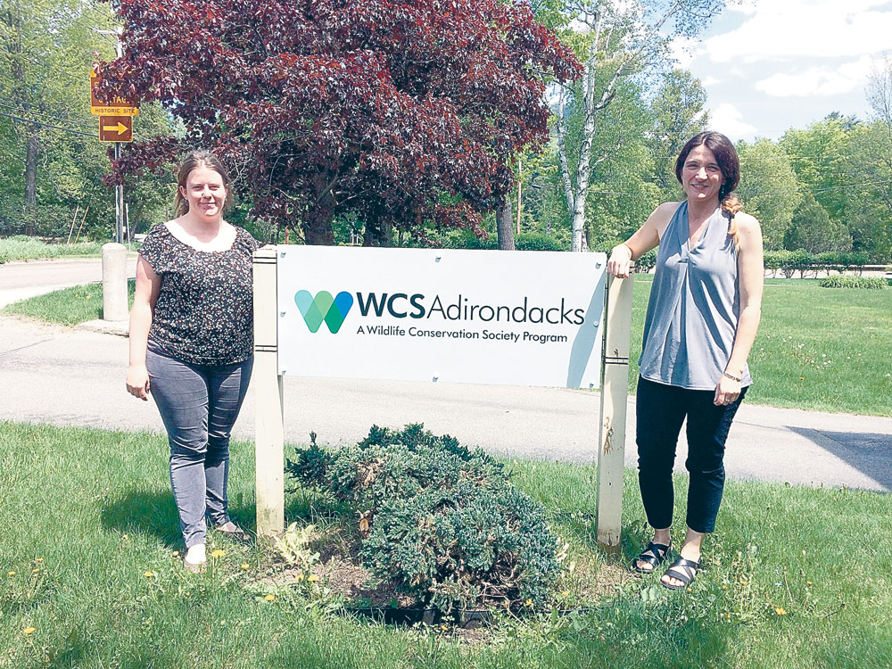 Wildlife Conservation Society will leave Adirondacks | News, Sports
